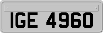 IGE4960