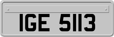 IGE5113