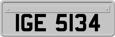 IGE5134