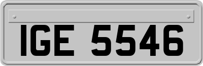 IGE5546