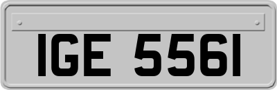 IGE5561