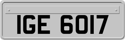 IGE6017