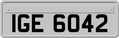 IGE6042