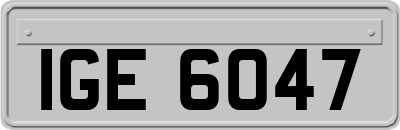 IGE6047
