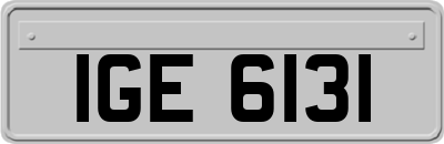 IGE6131