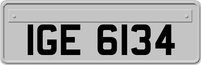IGE6134