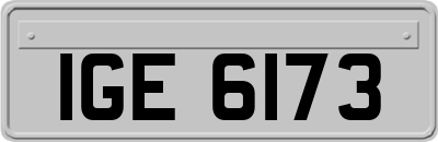 IGE6173