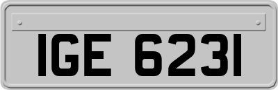 IGE6231