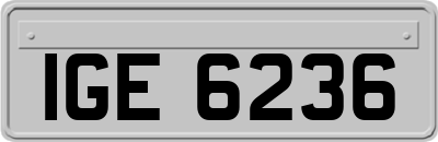 IGE6236