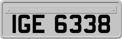 IGE6338