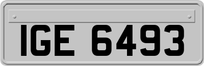 IGE6493