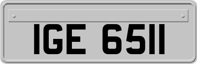 IGE6511