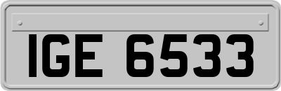 IGE6533