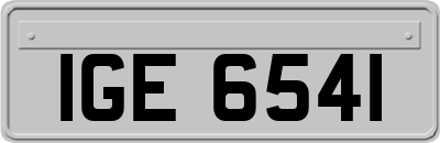 IGE6541