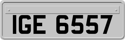 IGE6557