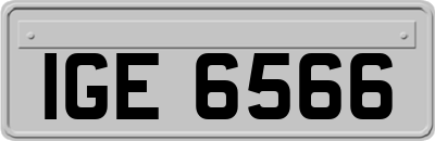 IGE6566