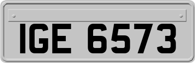 IGE6573