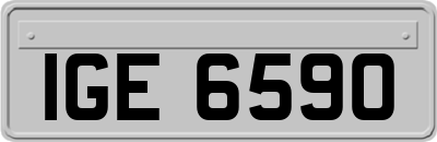 IGE6590