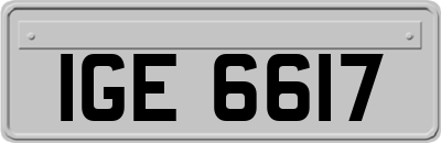 IGE6617