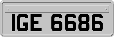 IGE6686