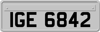 IGE6842