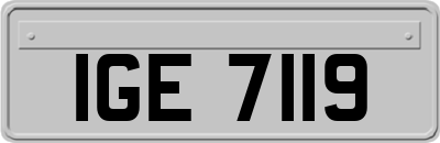 IGE7119