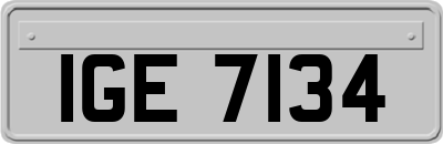 IGE7134
