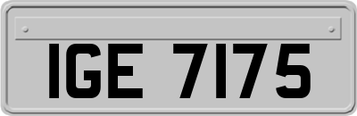 IGE7175