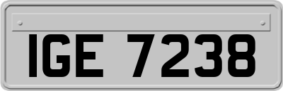IGE7238