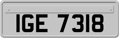 IGE7318