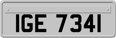 IGE7341