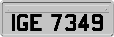 IGE7349