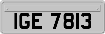 IGE7813