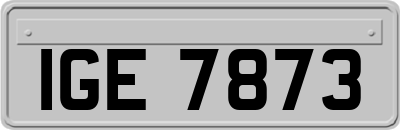 IGE7873