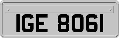 IGE8061