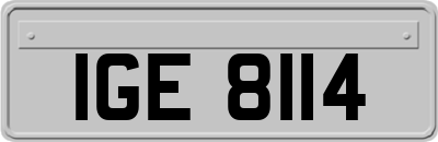 IGE8114