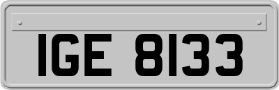 IGE8133