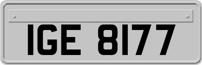 IGE8177