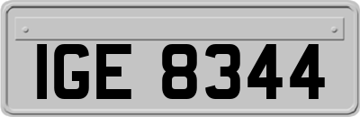 IGE8344