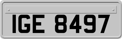 IGE8497