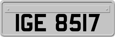 IGE8517