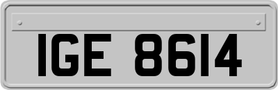 IGE8614
