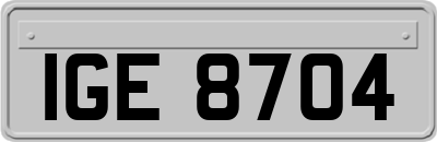 IGE8704