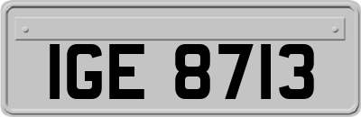 IGE8713
