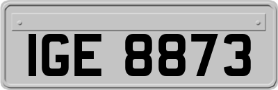 IGE8873