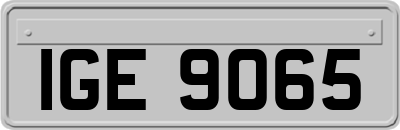 IGE9065