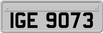 IGE9073