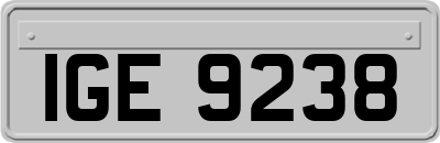 IGE9238