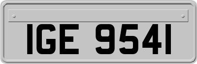 IGE9541