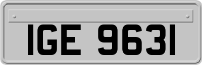 IGE9631